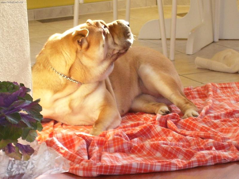 Foto: Jennynka z Ostravy