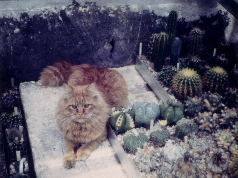 Foto: Max-Maxmili�n ve sv�m kr�lovstv�