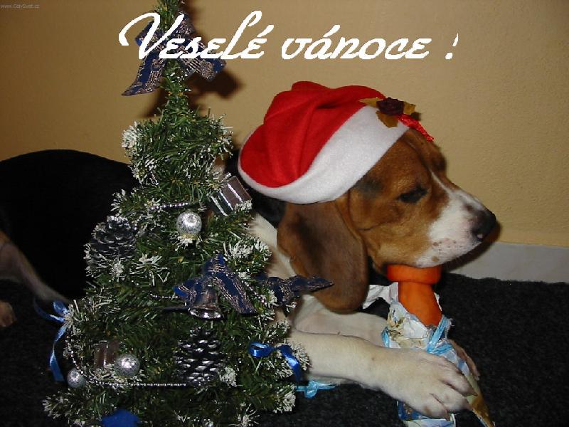 Foto: Vesel� v�noce!