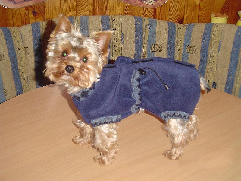 Foto: Bert�k-To mi to slu��, co?