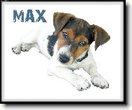 Max