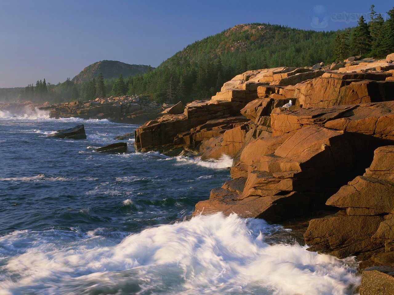 Foto: Gorham Mountain, Beehive, Acadia National Park, Maine