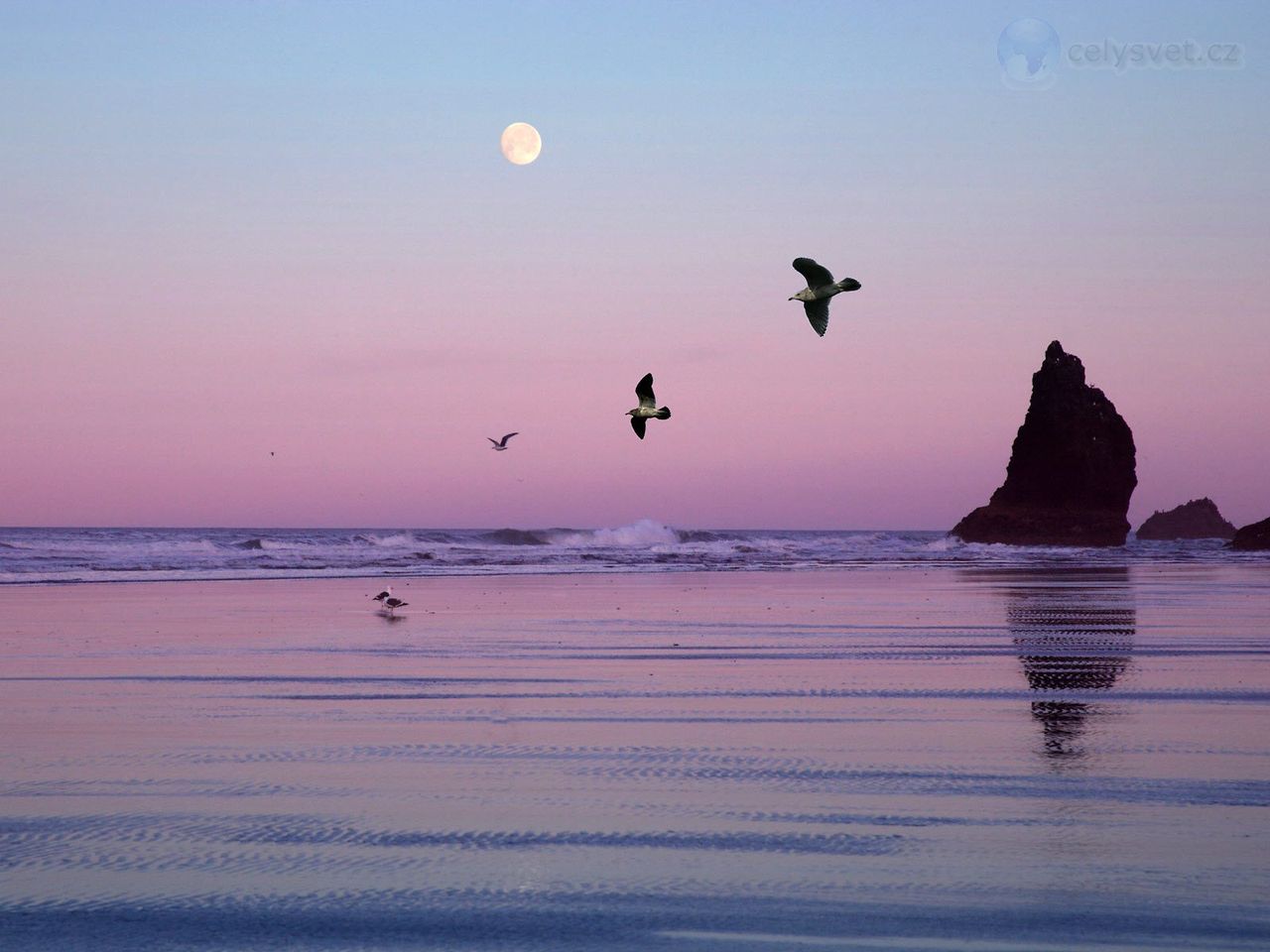 Foto: Cannon Beach, Oregon