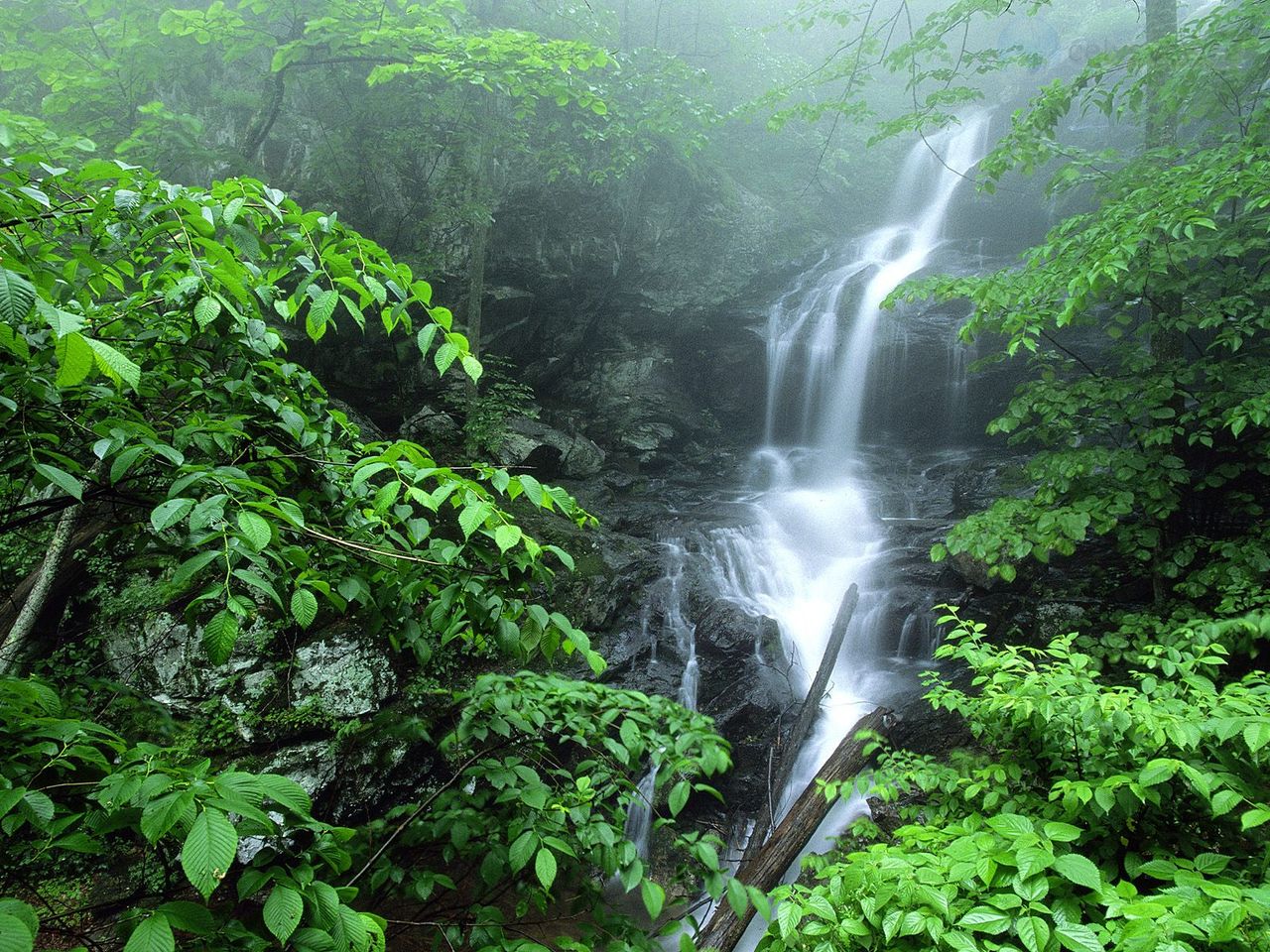 Foto: Lower Doyles River Falls, Shenandoah National Park, Virginia