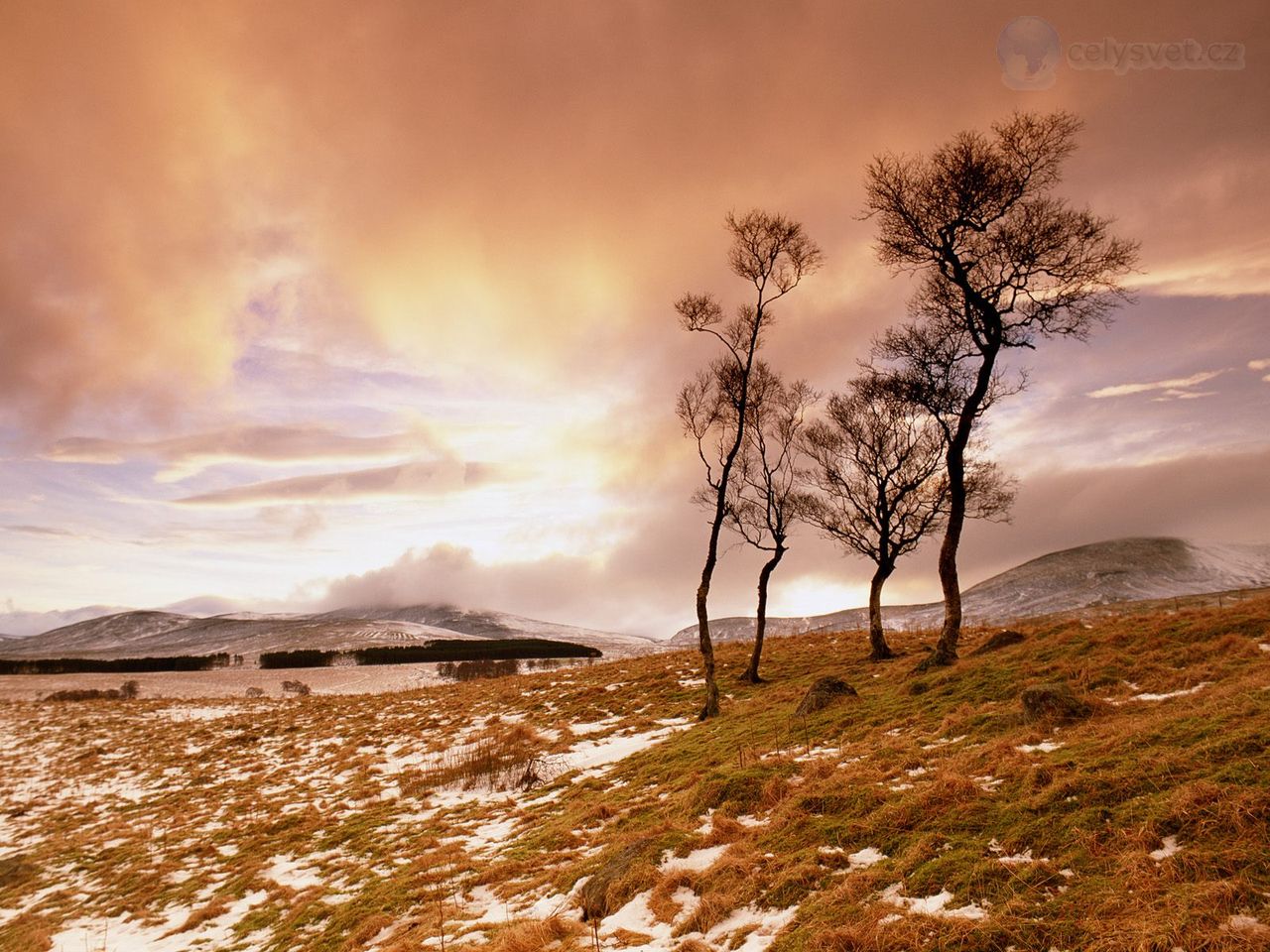 Foto: Glen Esk, Angus, Tayside, Scotland