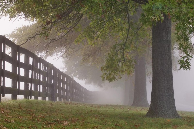 Foto: In The Mist, Lexington, Kentucky