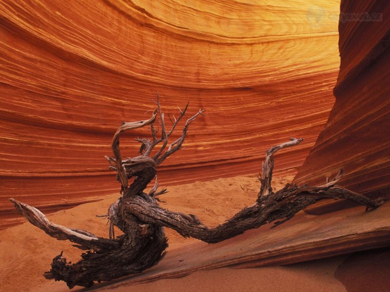 Foto: Slickrock Formation, Paria Canyon, Vermillion Cliffs Wilderness Area, Arizona