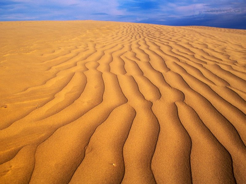 Foto: Great Sandhills, Saskatchewan, Canada