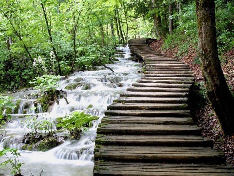 Foto: Plitvice Lakes National Park, Croatia